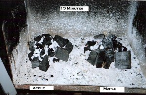 Apple Maple 15 minutes